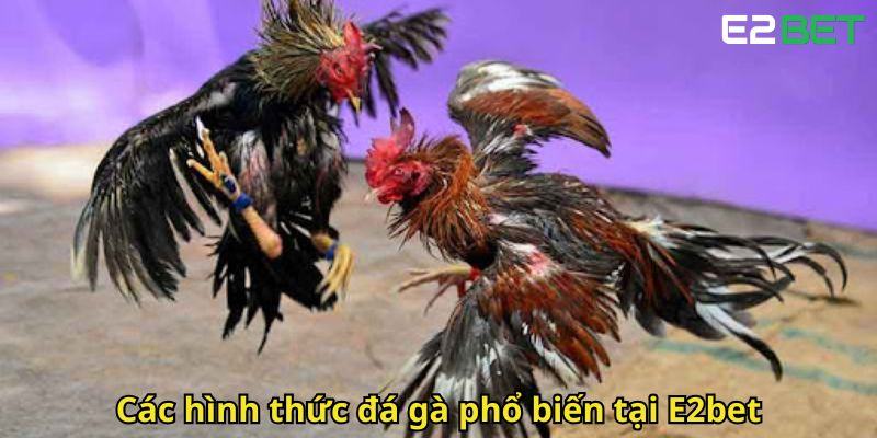 Cac hinh thuc da ga pho bien tai E2bet